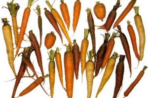 Carrots: one woman's worst nightmare