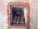 Agave hearts being cooked prior to pulping and fermentation