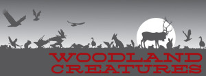 Woodland creatures logo