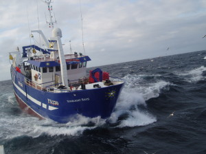 It's not all plain sailing for the Scottish white fish fleet