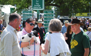 The Scottish Game Fair: a day out for country lovers and their dogs