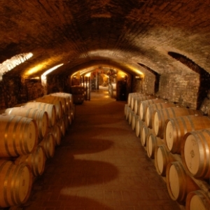 The cellars at the Enrico Serafino winery