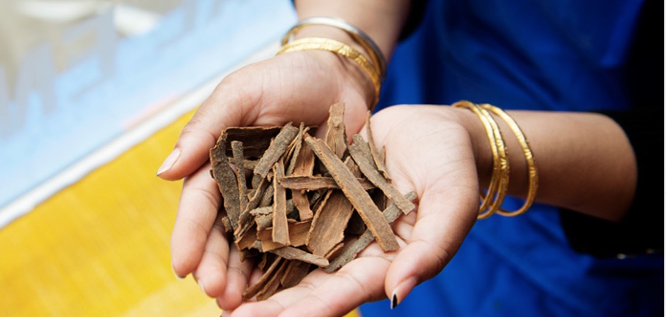 Cinnamon is one of many spices which make Punjabi Junction stand out.