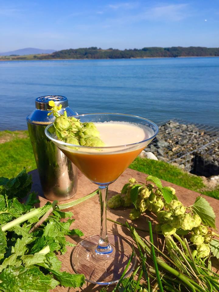 Galloway Wild Foods will be foraging for wild cocktail ingredients at Springfest.