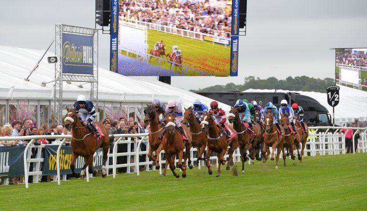 Saddle up for excitement at Edinburgh Cup Day at Musselburgh Racecourse.