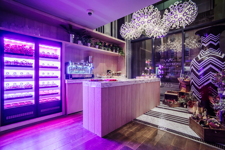 The lobby at G&V Royal Mile Hotel has its own florist and a hydroponic system for growing herbs and flowers.